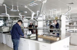 肥西縣高新技術企業認定實現新突破，社會經濟咨詢服務賦能產業升級